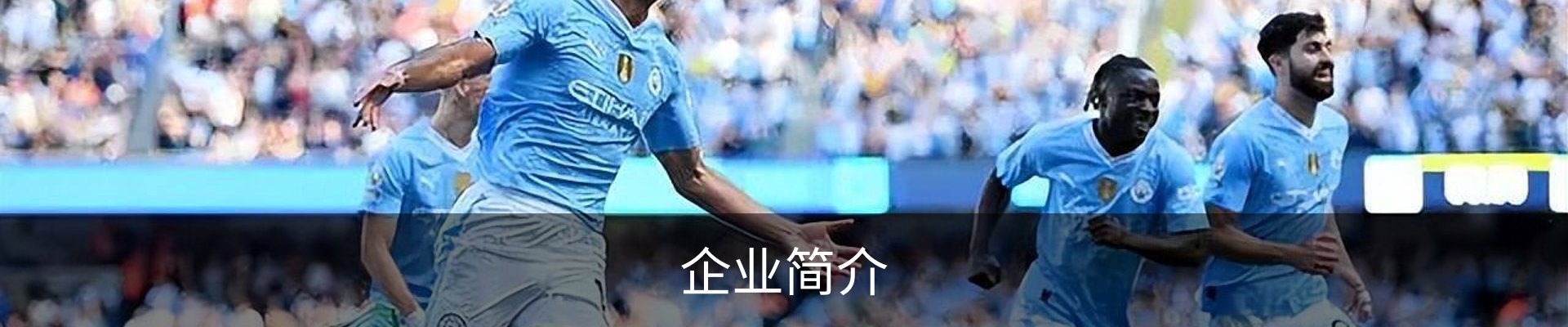 企业简介